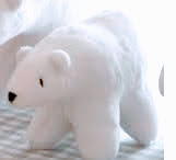 Baby Polar Bear